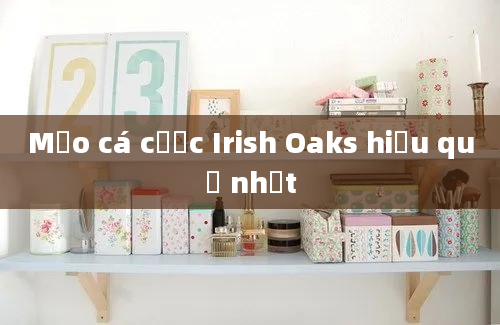 Mẹo cá cược Irish Oaks hiệu quả nhất