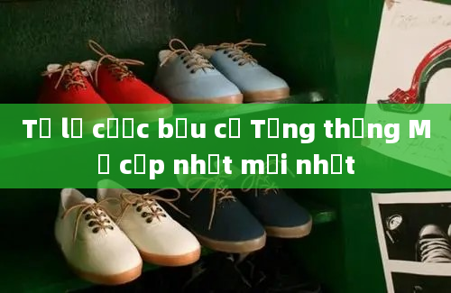 Tỷ lệ cược bầu cử Tổng thống Mỹ cập nhật mới nhất