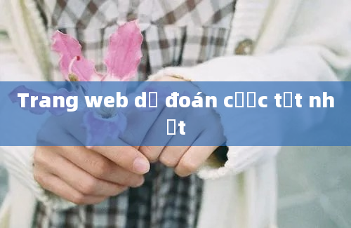 Trang web dự đoán cược tốt nhất