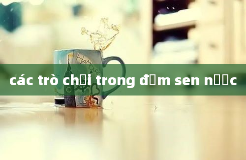 các trò chơi trong đầm sen nước