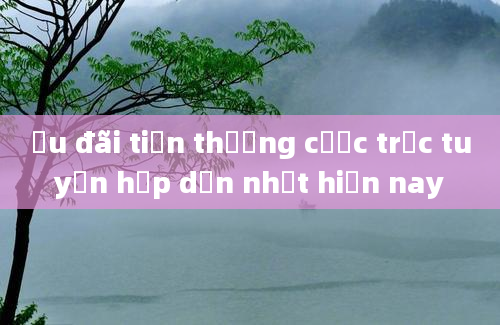 Ưu đãi tiền thưởng cược trực tuyến hấp dẫn nhất hiện nay