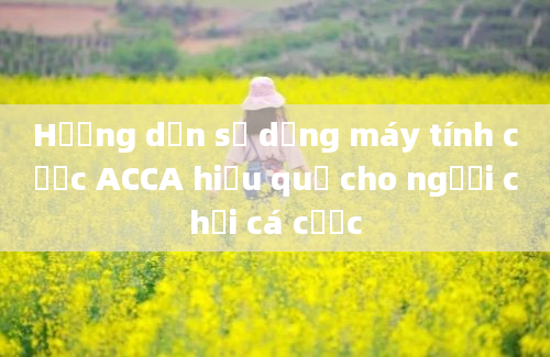 Hướng dẫn sử dụng máy tính cược ACCA hiệu quả cho người chơi cá cược