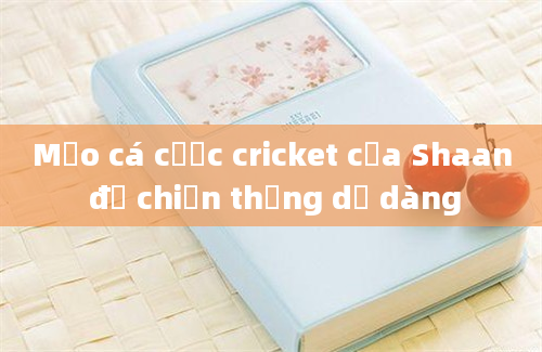 Mẹo cá cược cricket của Shaan để chiến thắng dễ dàng