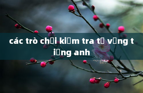 các trò chơi kiểm tra từ vựng tiếng anh