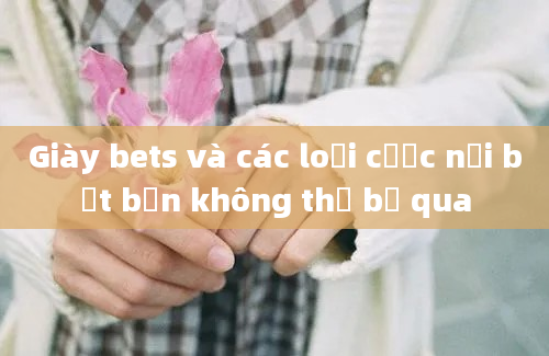 Giày bets và các loại cược nổi bật bạn không thể bỏ qua