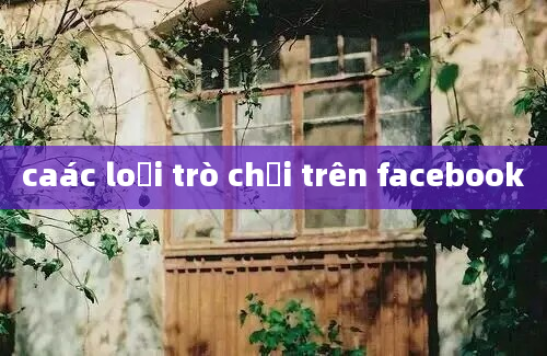 caác loại trò chơi trên facebook