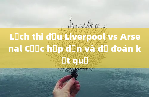 Lịch thi đấu Liverpool vs Arsenal Cược hấp dẫn và dự đoán kết quả