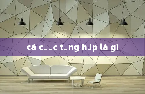 cá cược tổng hợp là gì