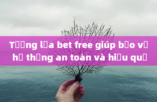 Tường lửa bet free giúp bảo vệ hệ thống an toàn và hiệu quả