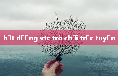 bắt dương vtc trò chơi trực tuyến