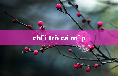 chơi trò cá mập