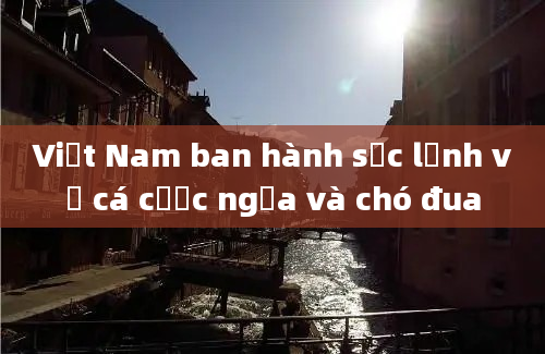 Việt Nam ban hành sắc lệnh về cá cược ngựa và chó đua