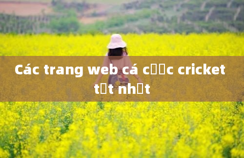 Các trang web cá cược cricket tốt nhất