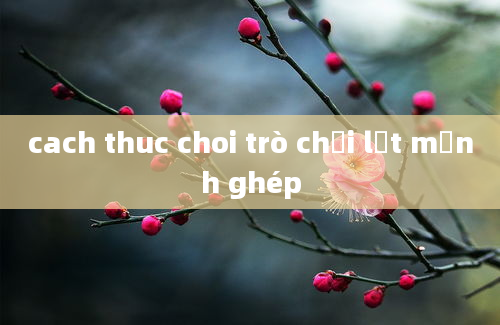 cach thuc choi trò chơi lật mảnh ghép