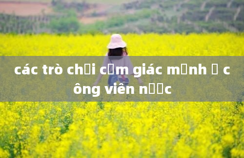 các trò chơi cảm giác mạnh ở công viên nước