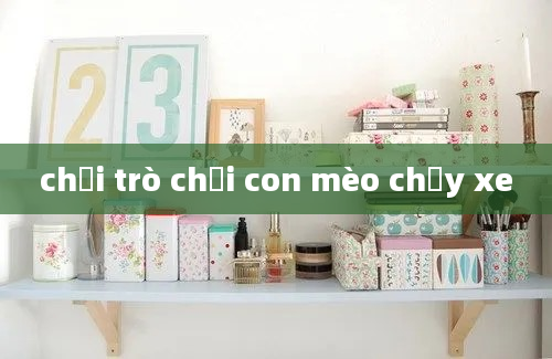 chơi trò chơi con mèo chạy xe