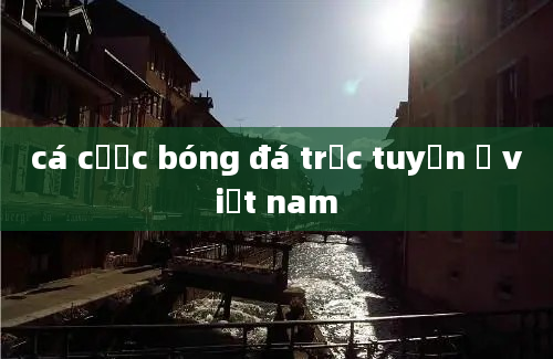 cá cược bóng đá trực tuyến ở việt nam