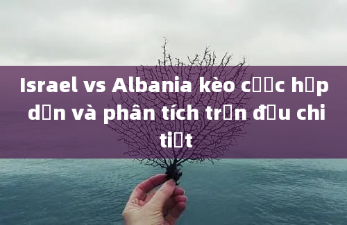 Israel vs Albania kèo cược hấp dẫn và phân tích trận đấu chi tiết