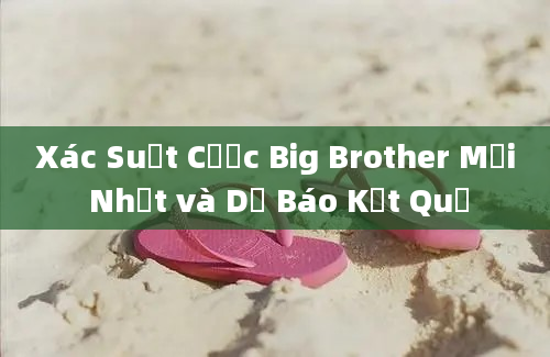 Xác Suất Cược Big Brother Mới Nhất và Dự Báo Kết Quả