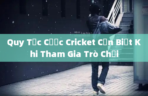 Quy Tắc Cược Cricket Cần Biết Khi Tham Gia Trò Chơi