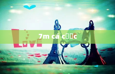 7m cá cược