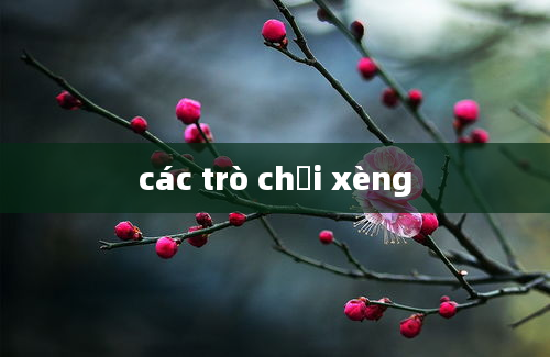 các trò chơi xèng