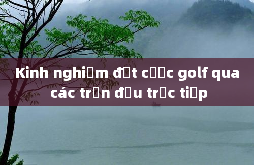 Kinh nghiệm đặt cược golf qua các trận đấu trực tiếp