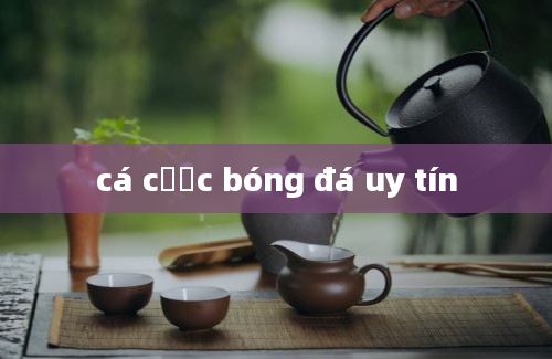 cá cược bóng đá uy tín