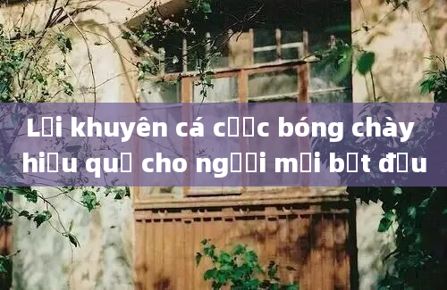 Lời khuyên cá cược bóng chày hiệu quả cho người mới bắt đầu