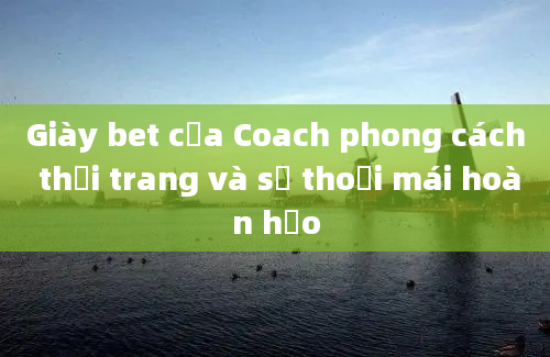 Giày bet của Coach phong cách thời trang và sự thoải mái hoàn hảo