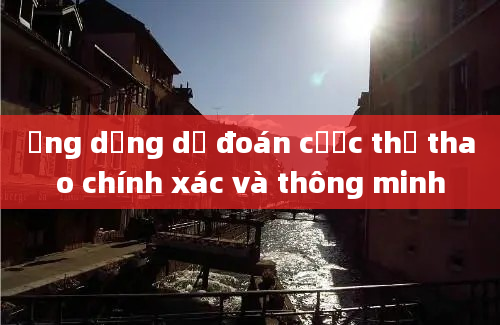 Ứng dụng dự đoán cược thể thao chính xác và thông minh