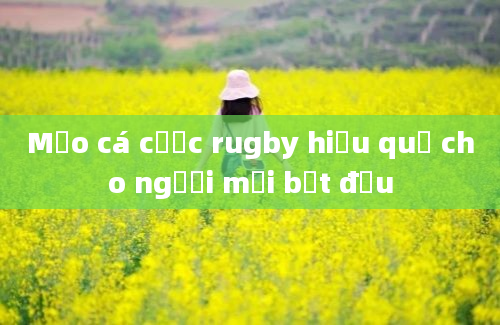 Mẹo cá cược rugby hiệu quả cho người mới bắt đầu