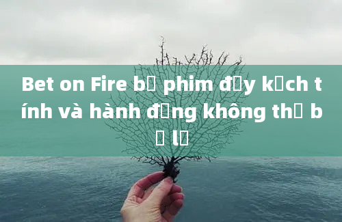 Bet on Fire bộ phim đầy kịch tính và hành động không thể bỏ lỡ