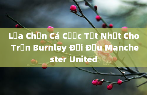 Lựa Chọn Cá Cược Tốt Nhất Cho Trận Burnley Đối Đầu Manchester United