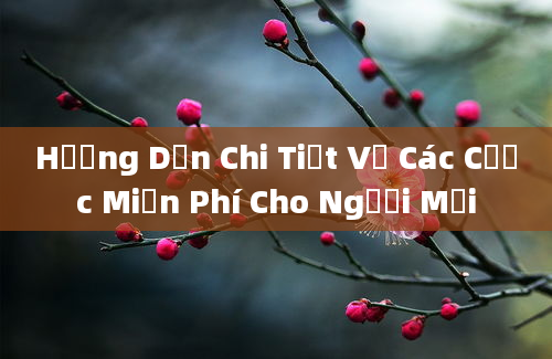 Hướng Dẫn Chi Tiết Về Các Cược Miễn Phí Cho Người Mới