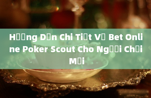 Hướng Dẫn Chi Tiết Về Bet Online Poker Scout Cho Người Chơi Mới