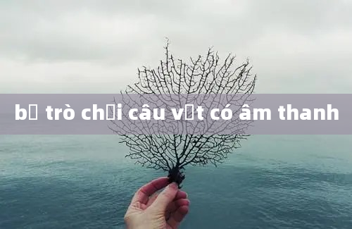 bộ trò chơi câu vịt có âm thanh