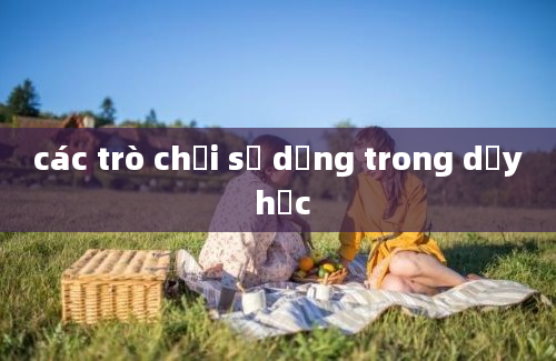 các trò chơi sử dụng trong dạy học