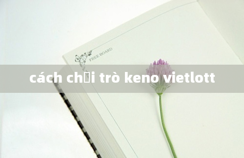 cách chơi trò keno vietlott