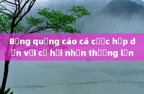 Bảng quảng cáo cá cược hấp dẫn với cơ hội nhận thưởng lớn