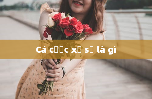 Cá cược xổ số là gì