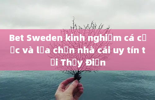 Bet Sweden kinh nghiệm cá cược và lựa chọn nhà cái uy tín tại Thụy Điển