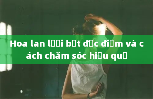 Hoa lan lưới bệt đặc điểm và cách chăm sóc hiệu quả