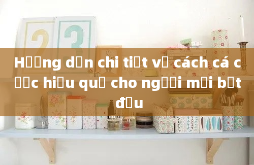 Hướng dẫn chi tiết về cách cá cược hiệu quả cho người mới bắt đầu