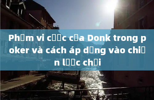 Phạm vi cược của Donk trong poker và cách áp dụng vào chiến lược chơi