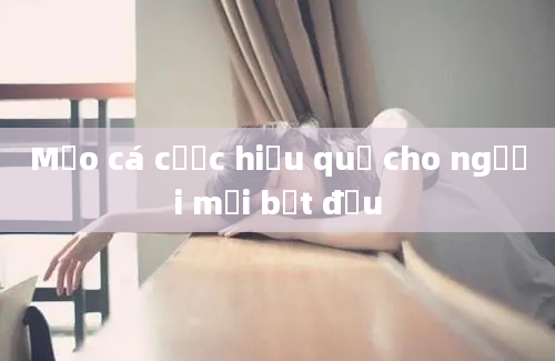 Mẹo cá cược hiệu quả cho người mới bắt đầu