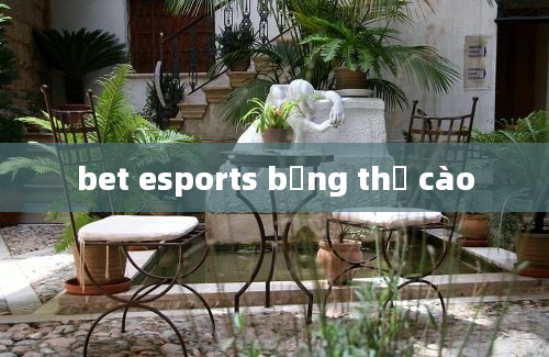 bet esports bằng thẻ cào