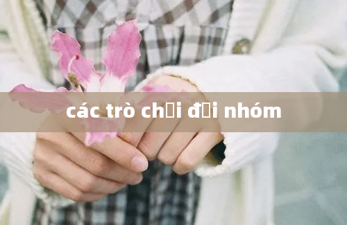 các trò chơi đội nhóm