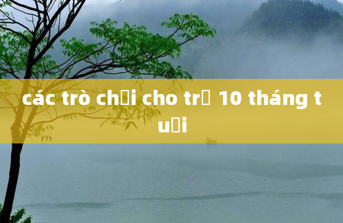 các trò chơi cho trẻ 10 tháng tuổi