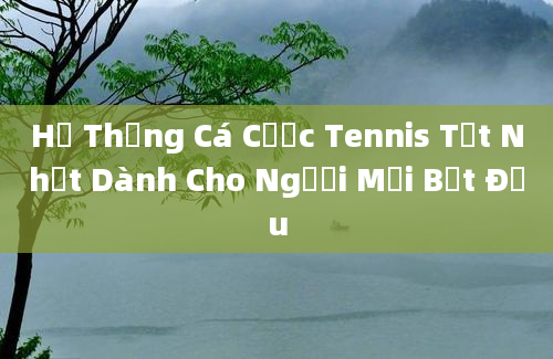 Hệ Thống Cá Cược Tennis Tốt Nhất Dành Cho Người Mới Bắt Đầu